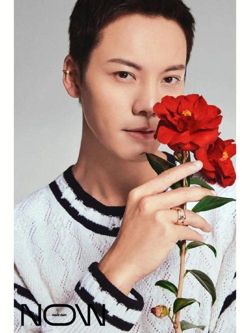 娛樂吃瓜君 景甜,娛樂圈的甜蜜瓜果，揭秘她的星途歷程